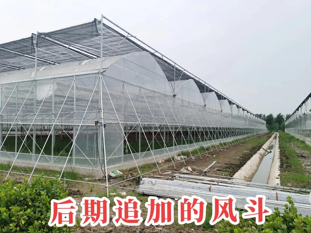 探訪京東農(nóng)業(yè)科技園 風斗連棟薄膜大棚如何以技術(shù)創(chuàng)新賦能現(xiàn)代農(nóng)業(yè)