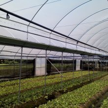 【廣西柳州蔬菜溫室大棚 花卉育苗溫室大棚 簡易薄膜大棚圖片】廣西柳州蔬菜溫室大棚 花卉育苗溫室大棚 簡易薄膜大棚