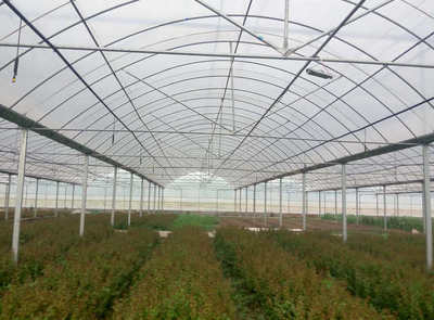 大棚薄膜之殤 連棟溫室偷工減料背后的崩塌風險