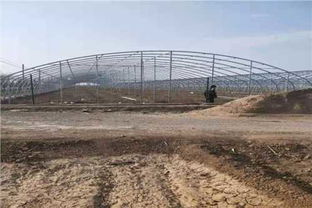 延安薄膜連棟大棚建造公司 一站式服務的現代農業解決方案