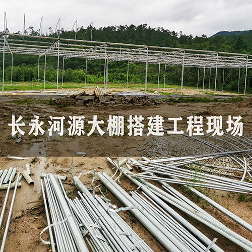 溫室建設指南 價格趨勢、廠家選擇與大棚薄膜應用